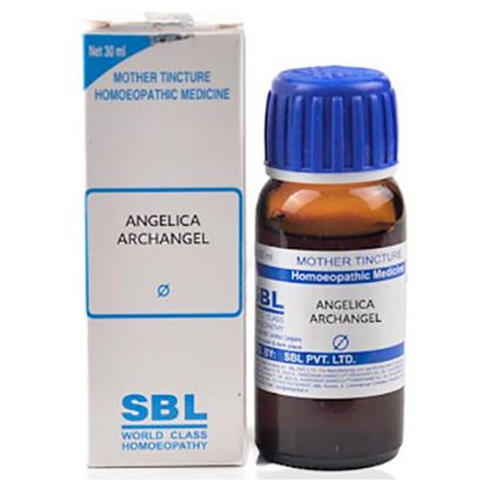 SBL Angelica Archangelica Mother Tincture Q