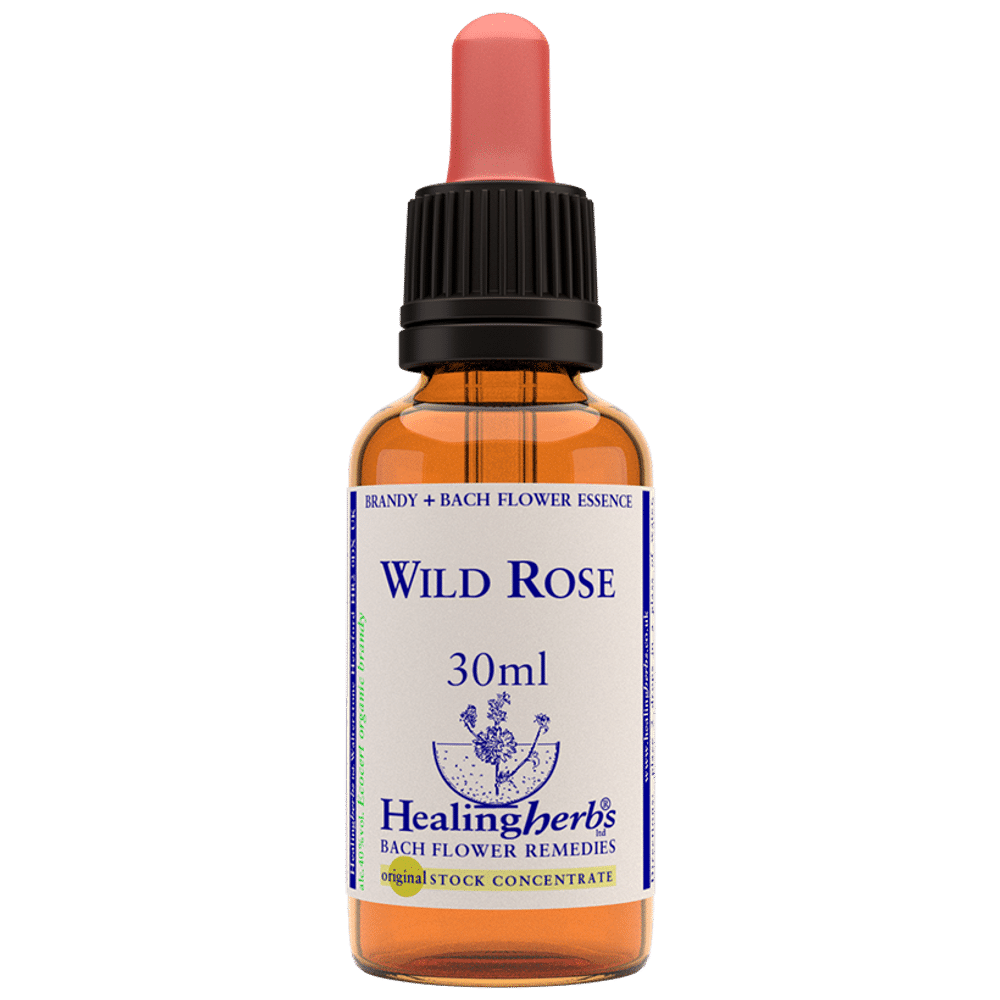 Healing Herbs Bach Flower Wild Rose