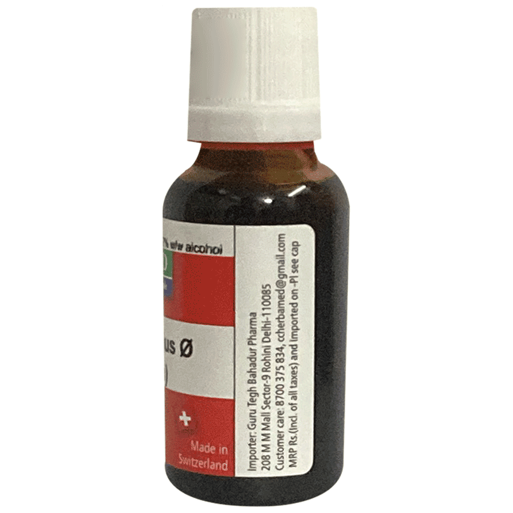 Herbamed Chelidonium Majus Mother Tincture Q