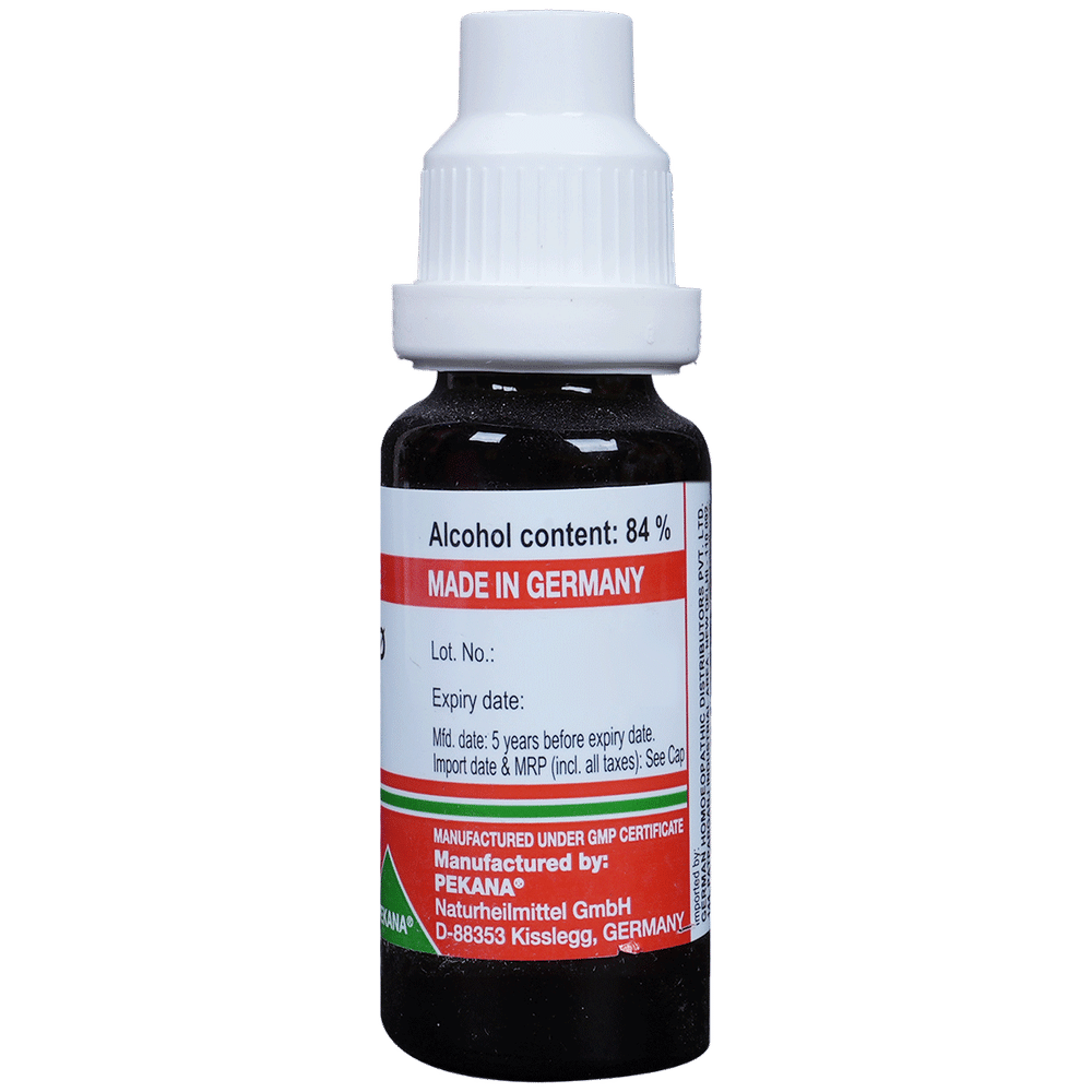 ADEL Syzygium Jambolanum Mother Tincture Q