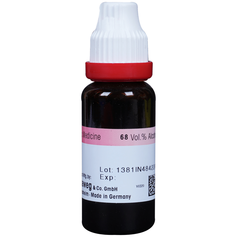 Dr. Reckeweg Alfalfa Mother Tincture Q