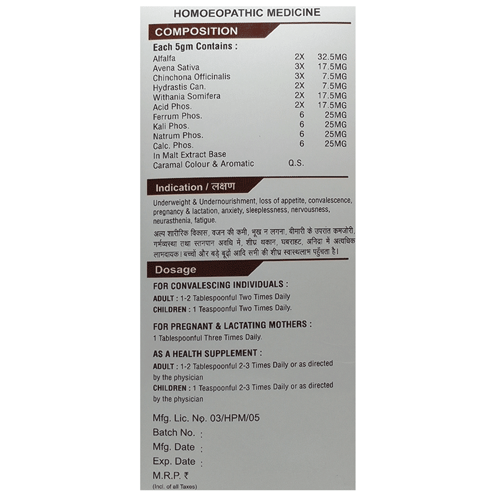 Radient Malt Energy Booster Chocolate