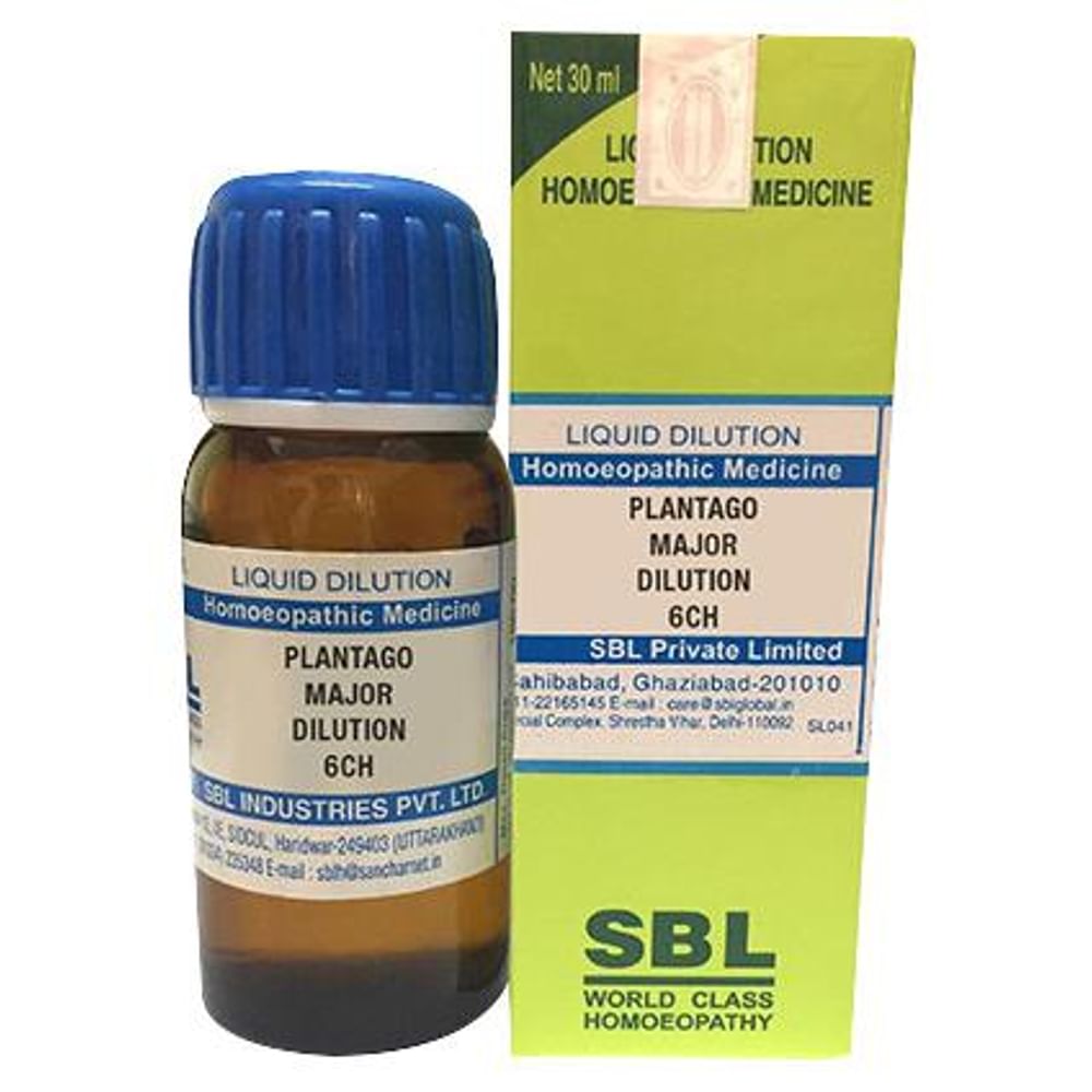 SBL Plantago Major Dilution 6 CH