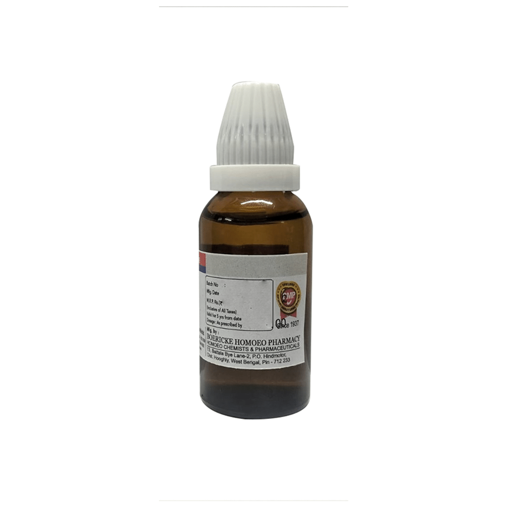 Dr. Majumder Homeo World Rhus Toxicodendron Dilution 200 (30ml Each)