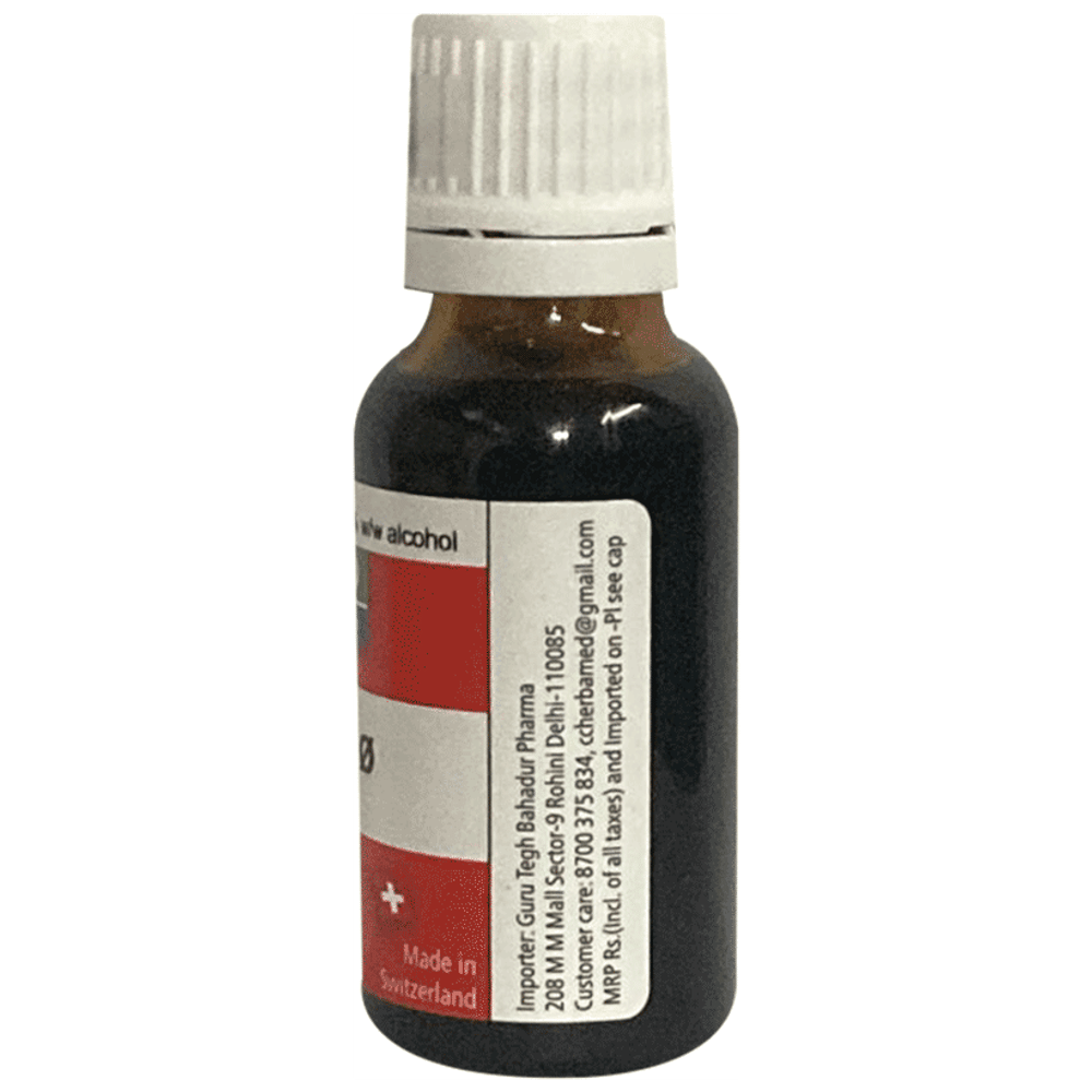 Herbamed Carica Papaya Mother Tincture Q