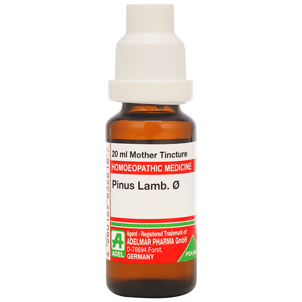 ADEL Pinus Lamb. Mother Tincture Q