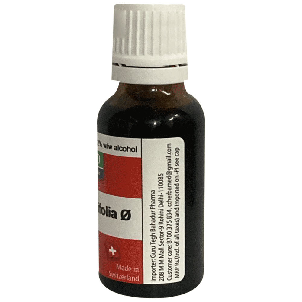 Herbamed Echinacea Angustifolia Mother Tincture Q