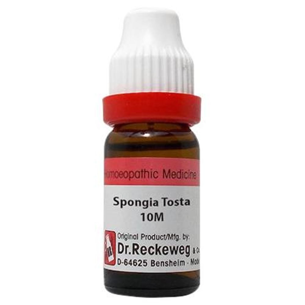 Dr. Reckeweg Spongia Tosta Dilution 10M CH