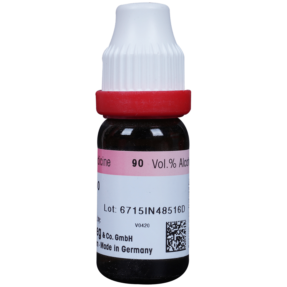 Dr. Reckeweg Wiesbaden Dilution 200 CH