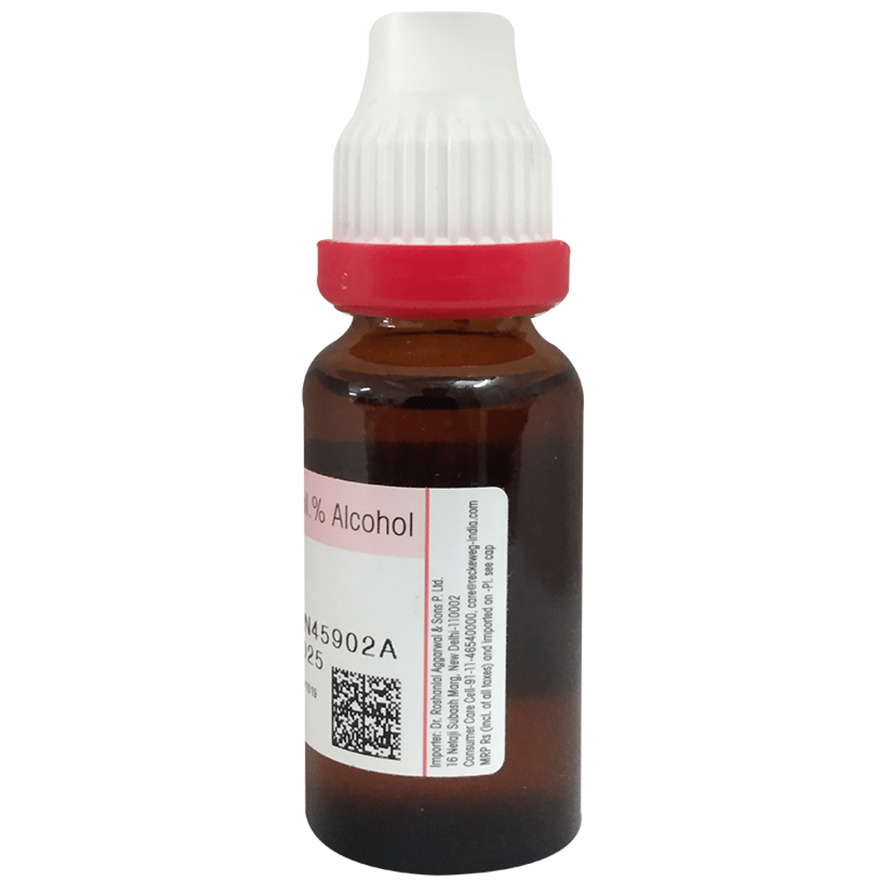 Dr Reckeweg &Co.gmbH Sabal Serrulata Mother Tincture Q