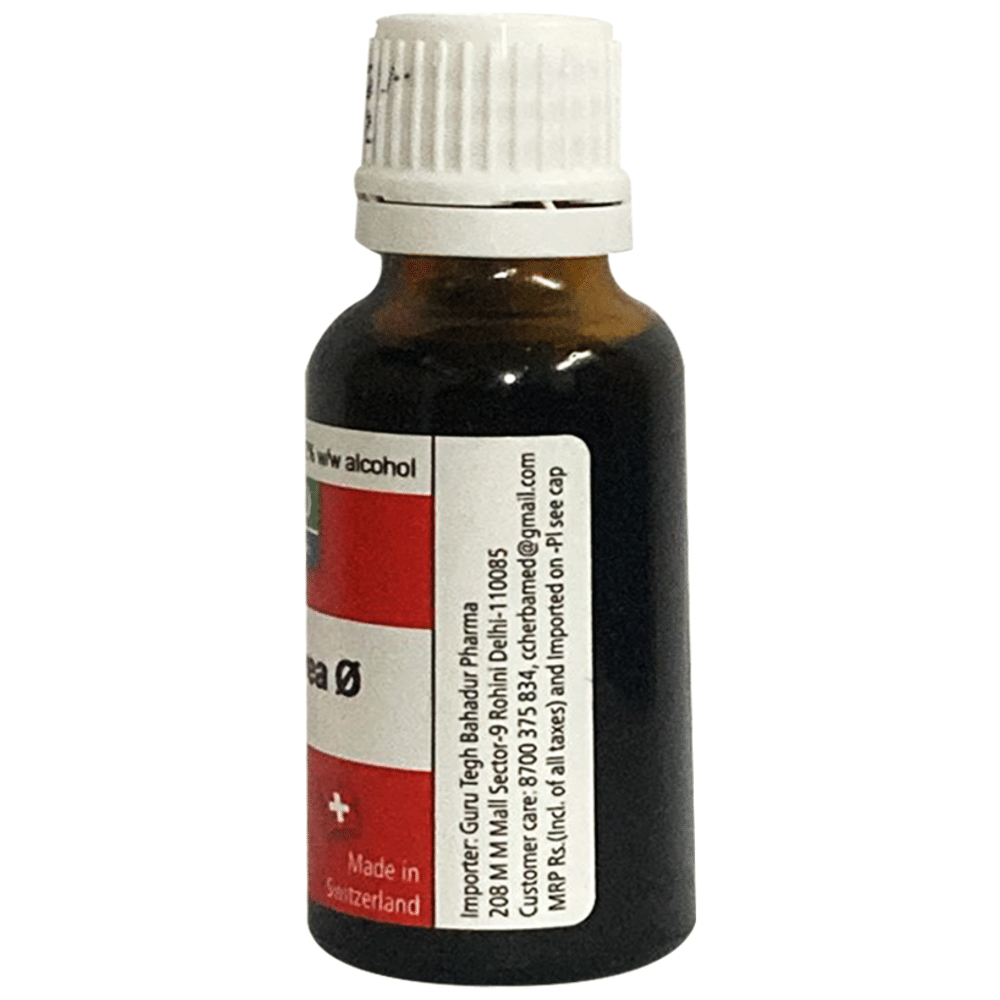 Herbamed Solidago Virgaurea Mother Tincture Q