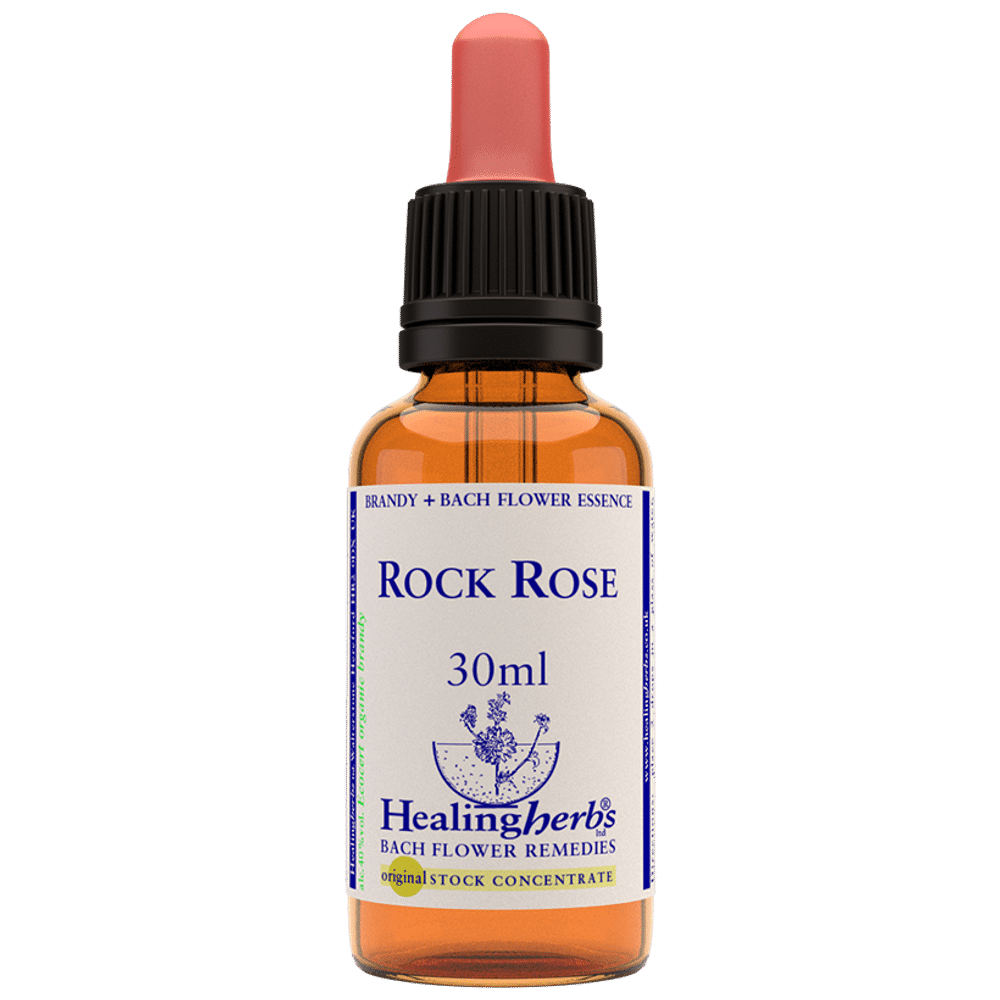 Healing Herbs Bach Flower Rock Rose