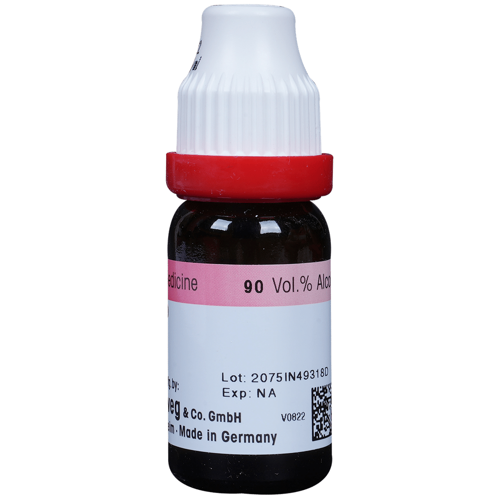 Dr. Reckeweg Belladonna Dilution 200 CH