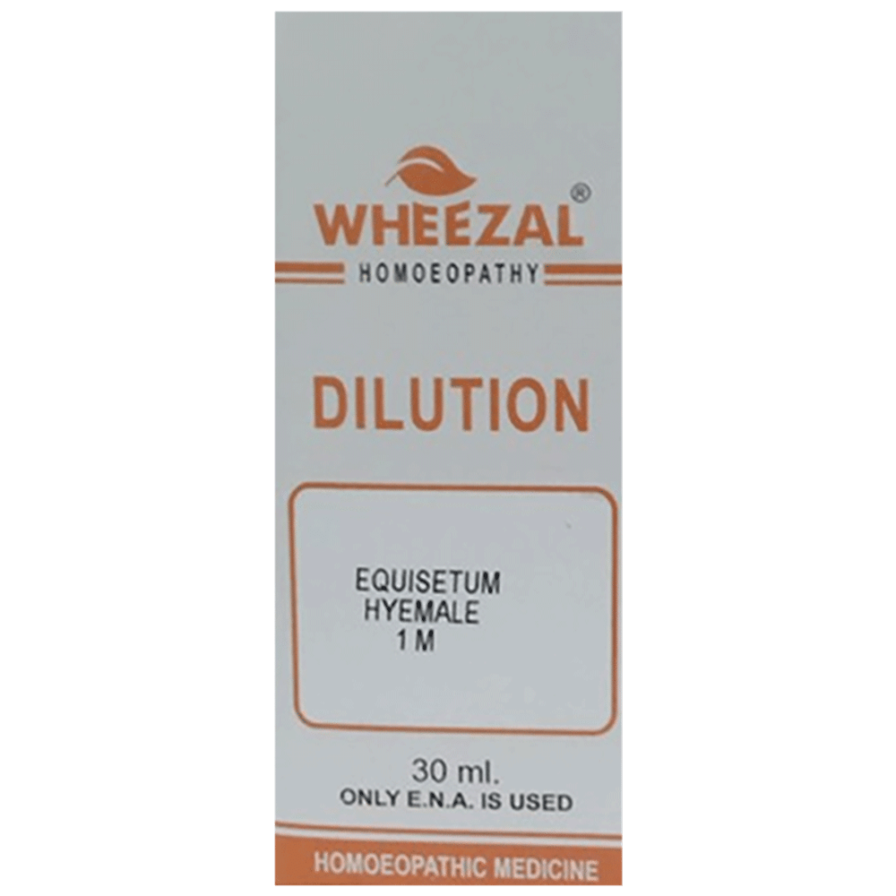 Wheezal Equisteum Hyemale Dilution 1M