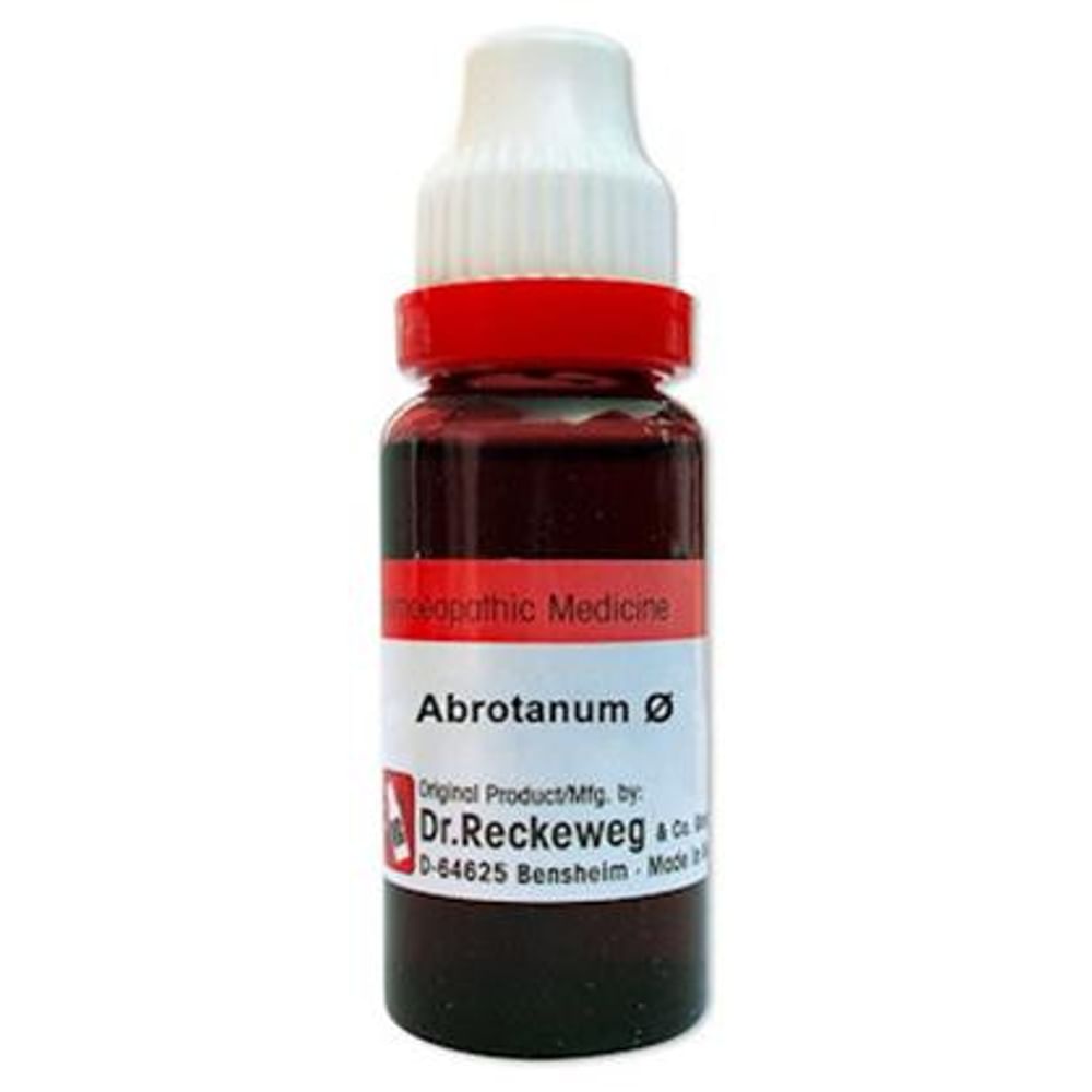 Dr. Reckeweg Abrotanum Mother Tincture Q