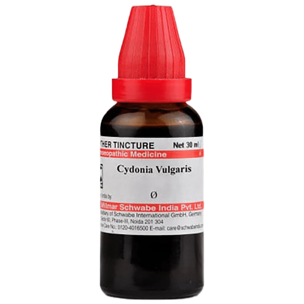 Dr Willmar Schwabe India Cydonia Vulgaris Mother Tincture Q