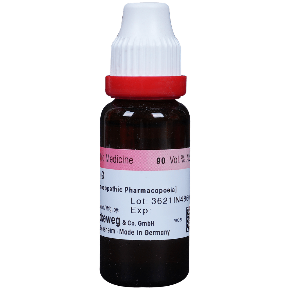 Dr. Reckeweg Ginseng Mother Tincture Q