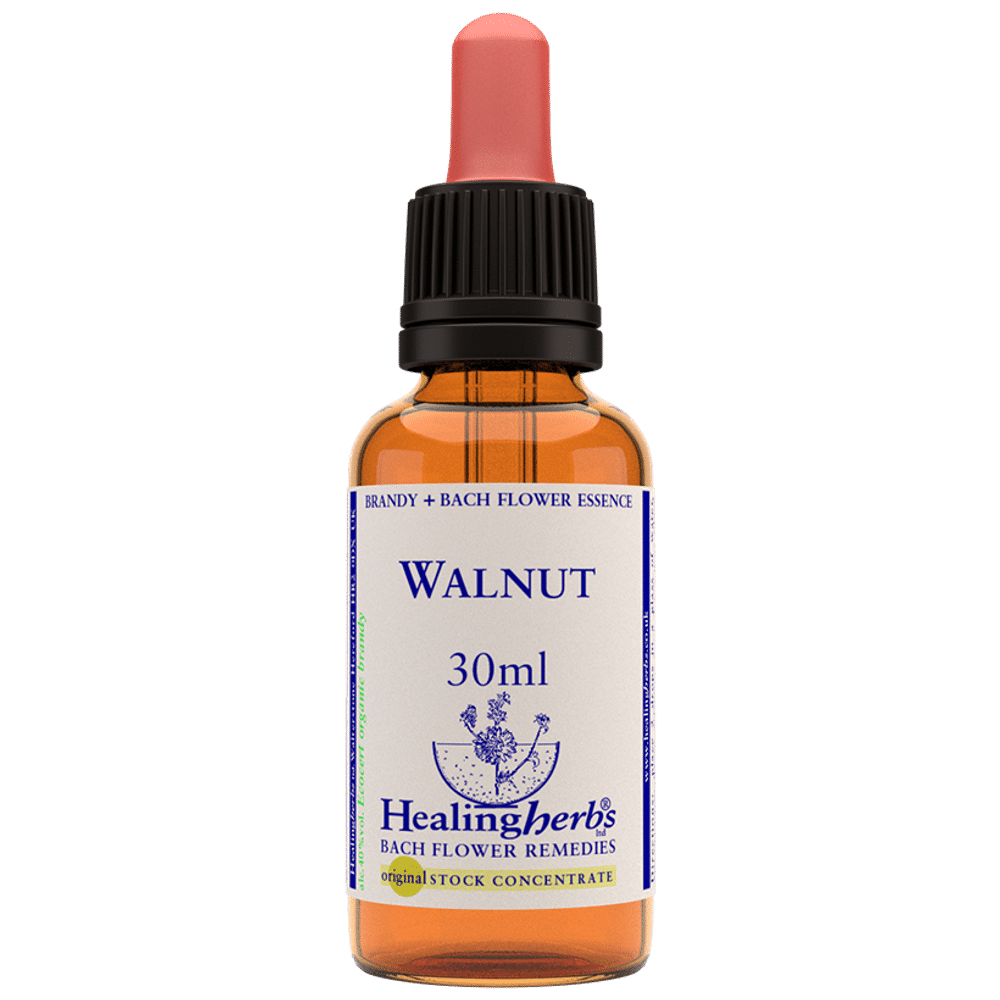 Healing Herbs Bach Flower Walnut