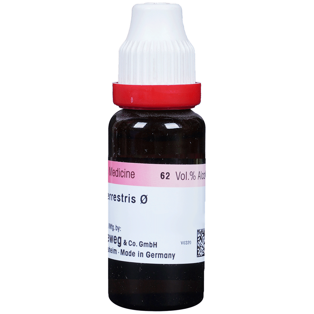 Dr. Reckeweg Tribulus Terr Mother Tincture Q