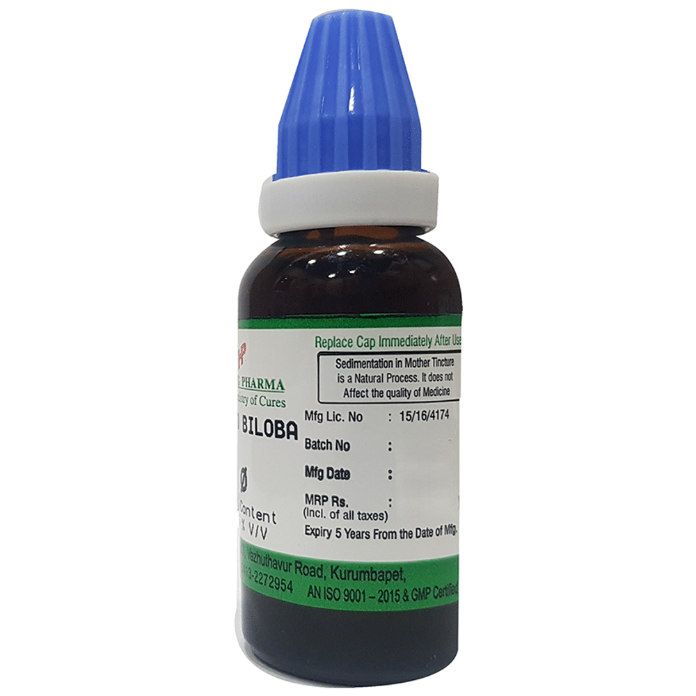 Hering Pharma Ginkgo Biloba Mother Tincture Q