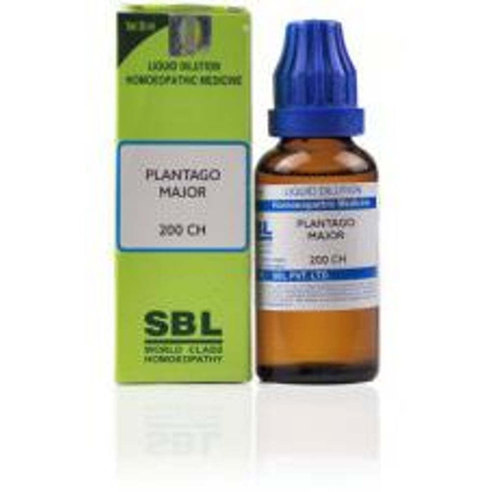 SBL Plantago Major Dilution 200 CH