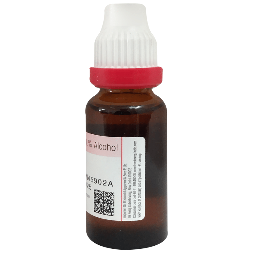 Dr Reckeweg &Co.gmbH Ruta Graveolens Mother Tincture Q