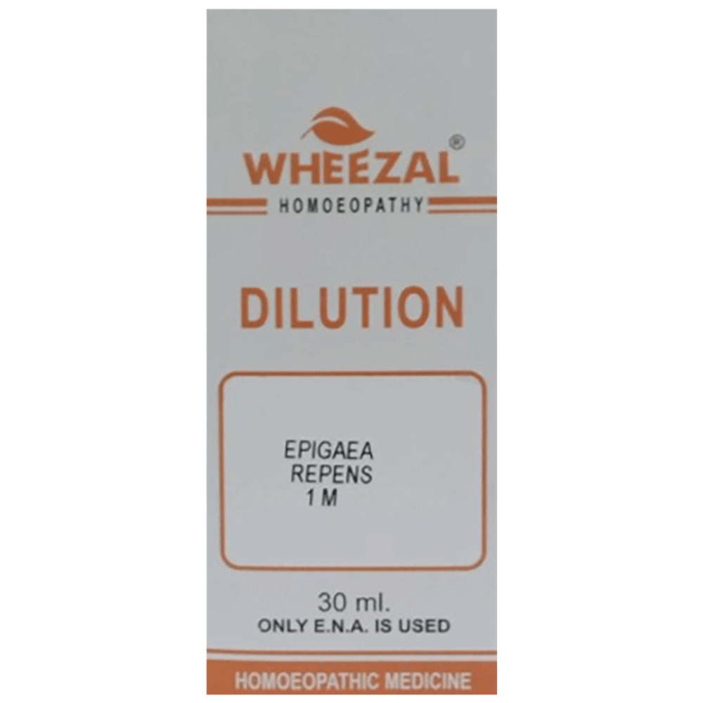 Wheezal Epigaea Repnes Dilution 1M