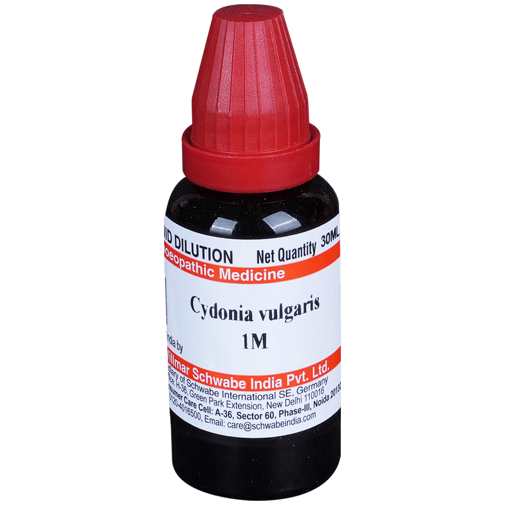 Dr Willmar Schwabe India Cydonia Vulgaris Dilution 1M