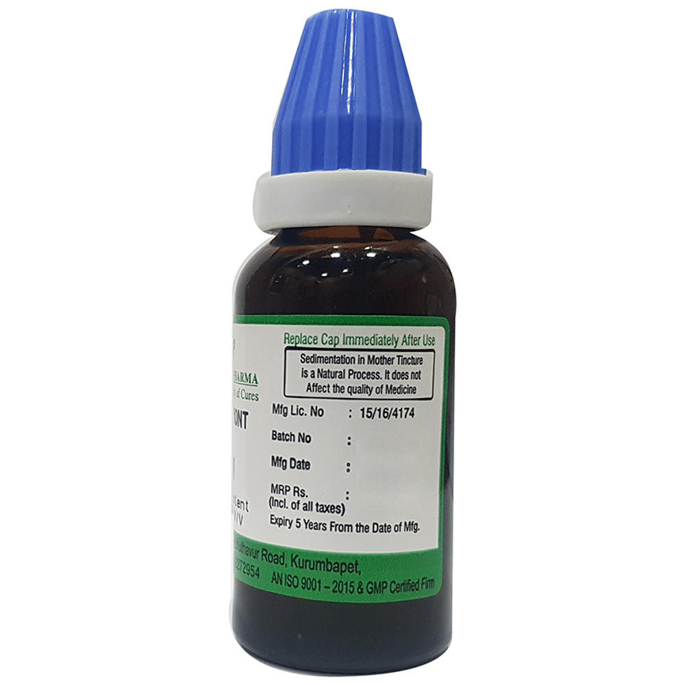 Hering Pharma Arnica Mont Mother Tincture Q