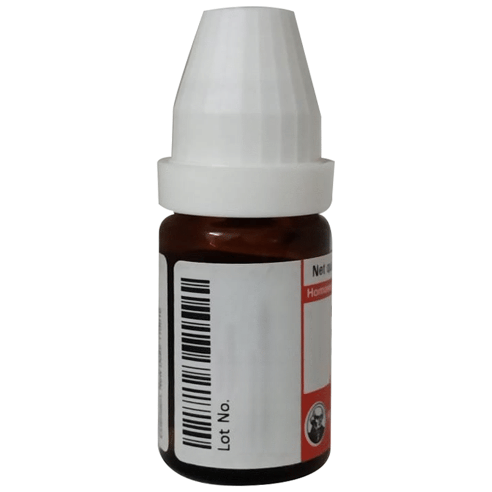 Dr Willmar Schwabe Germany Asafoetida Dilution 200