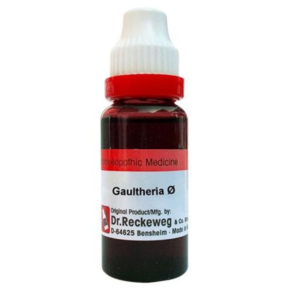 Dr. Reckeweg Gaultheria Mother Tincture Q