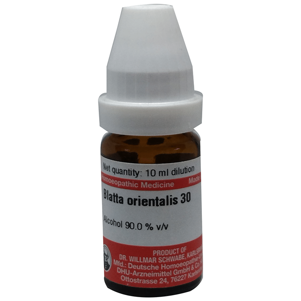 Dr Willmar Schwabe Germany Blatta Orientalis Dilution 30