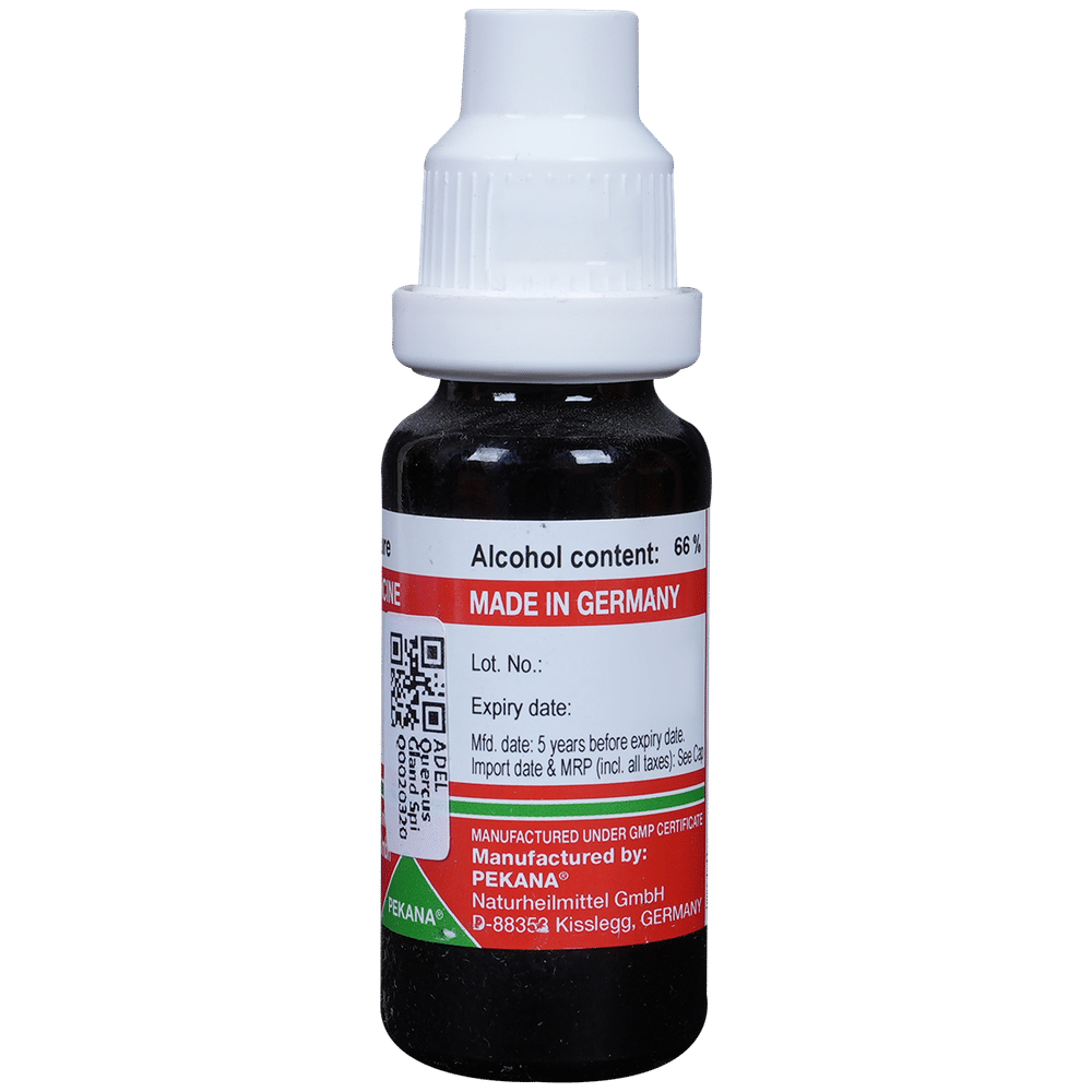 ADEL Quercus Gland Spi Mother Tincture Q