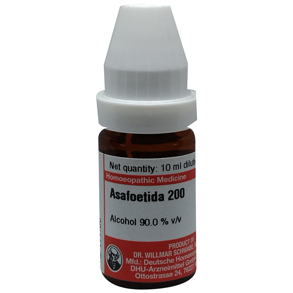 Dr Willmar Schwabe Germany Asafoetida Dilution 200