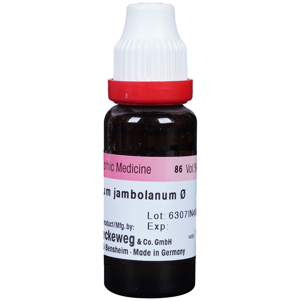 Dr. Reckeweg Syzygium Jamb Mother Tincture Q