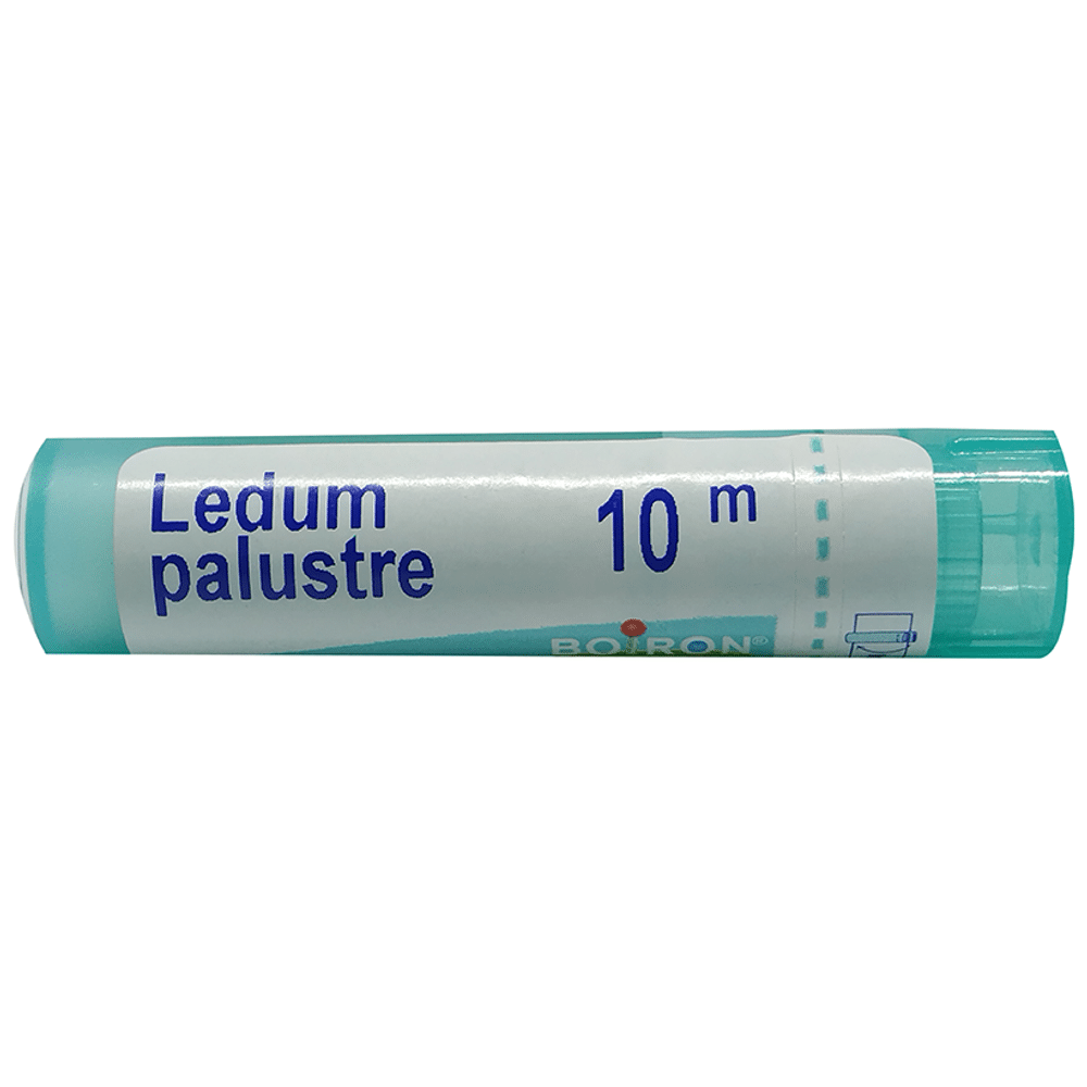 Boiron Ledum Palustre Pellets 10M