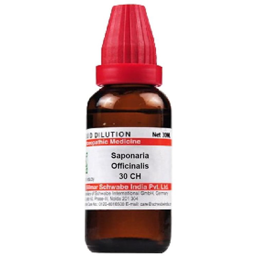 Dr Willmar Schwabe India Saponaria Officinalis Dilution 30 CH