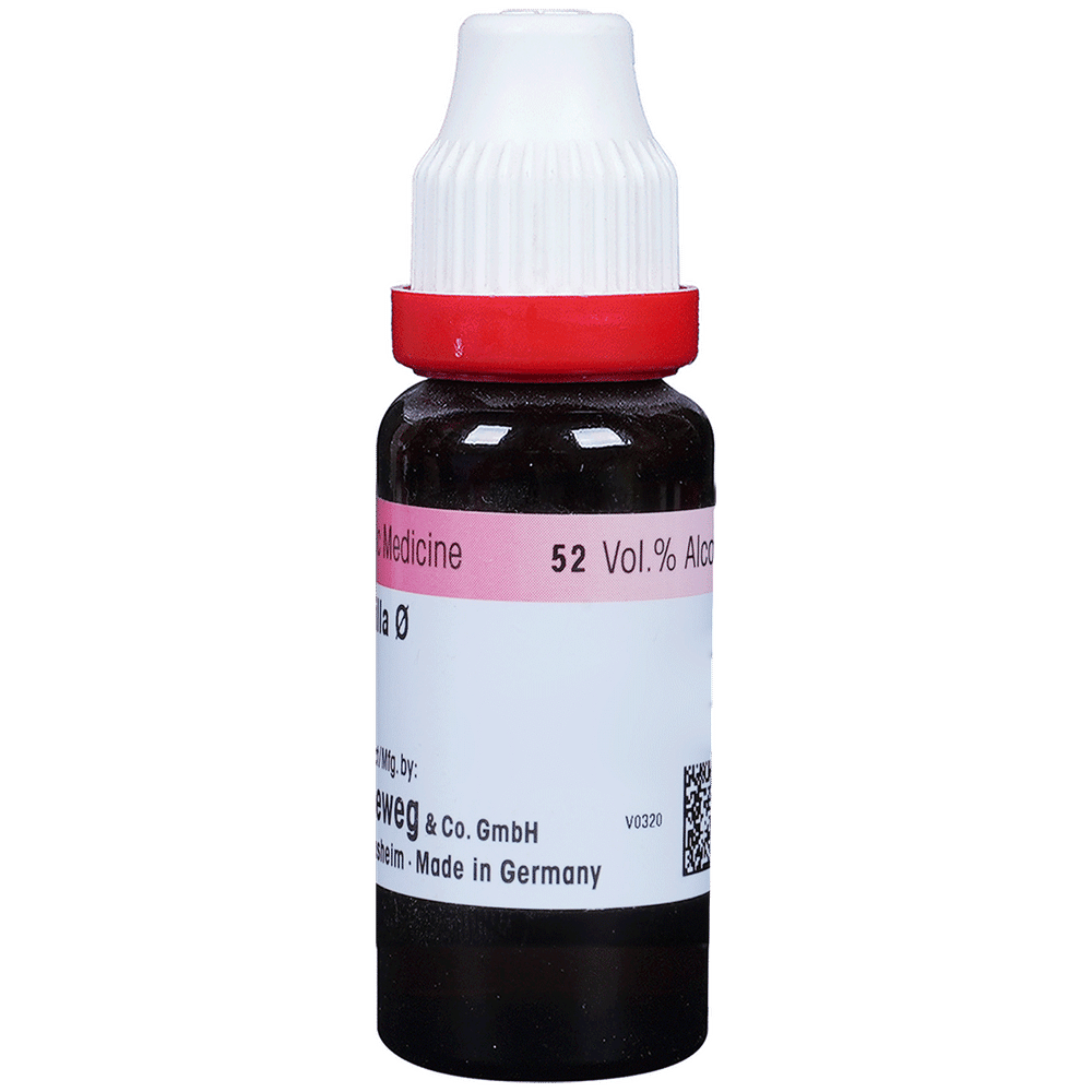 Dr. Reckeweg Sarsaparilla Mother Tincture Q