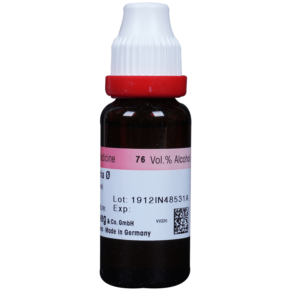 Dr. Reckeweg Ashwagandha Mother Tincture Q