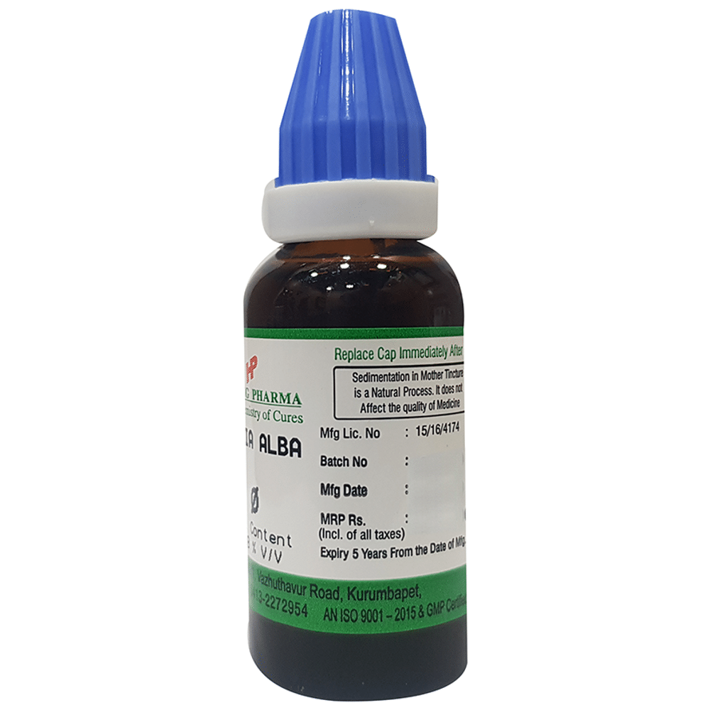 Hering Pharma Bryonia Alba Mother Tincture Q