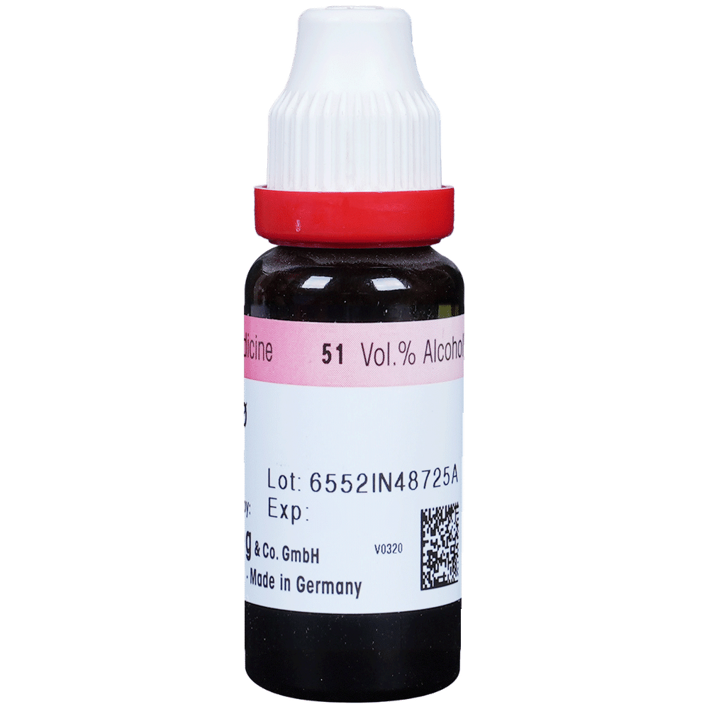 Dr. Reckeweg Urtica Urens Mother Tincture Q