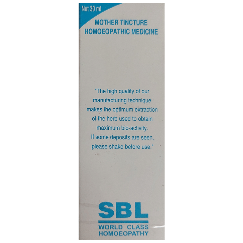 SBL Zingiber Mother Tincture Q