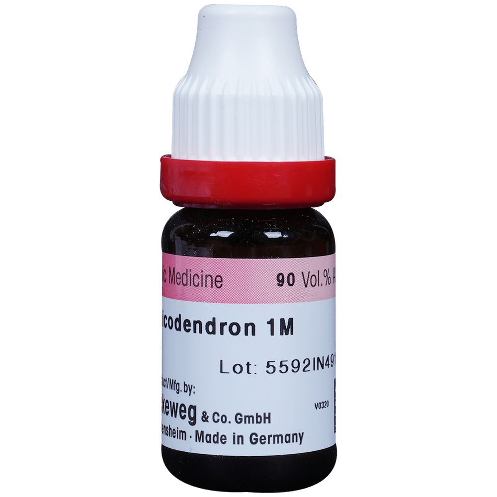 Dr. Reckeweg Rhus Tox Dilution 1000 CH