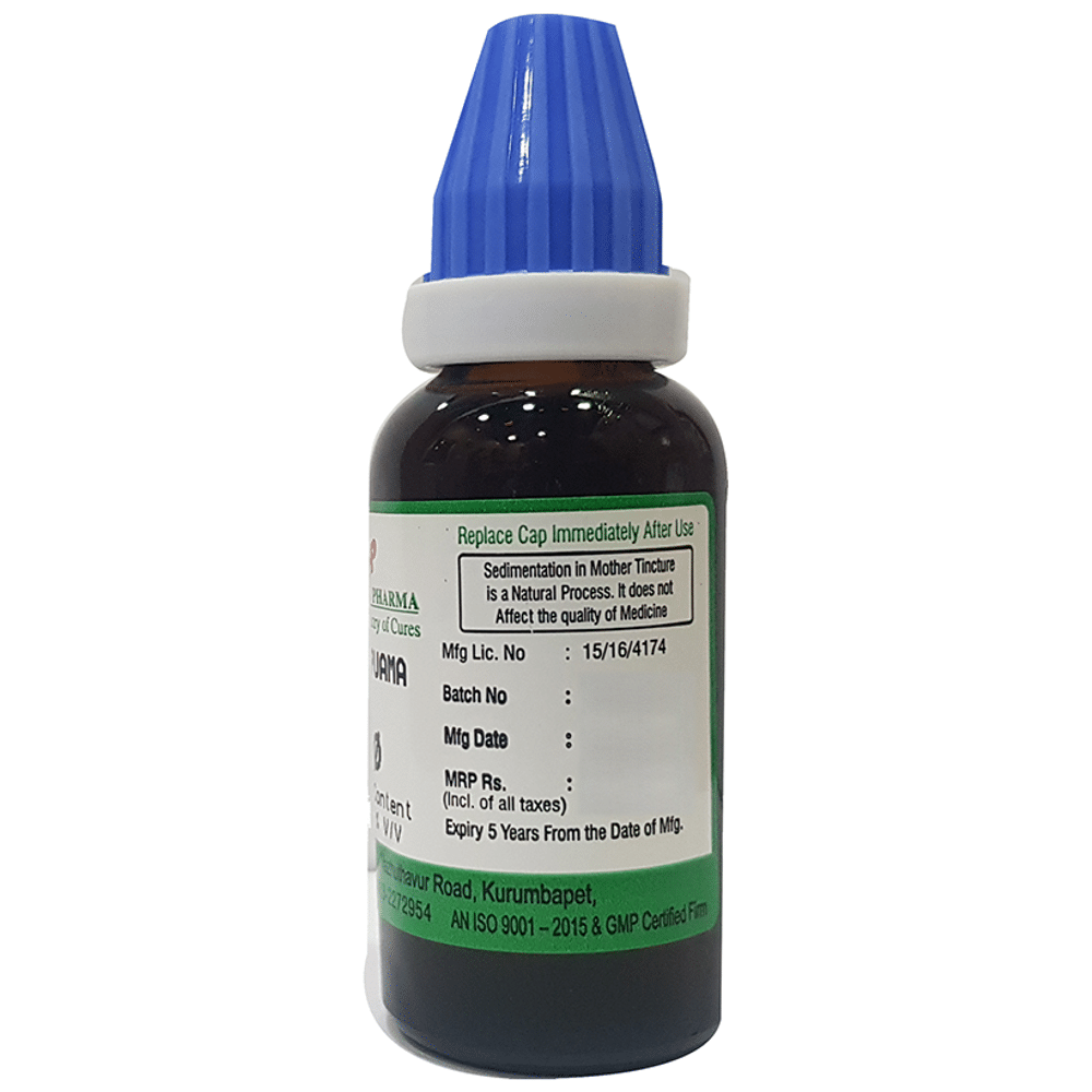 Hering Pharma Muira Puama Mother Tincture Q