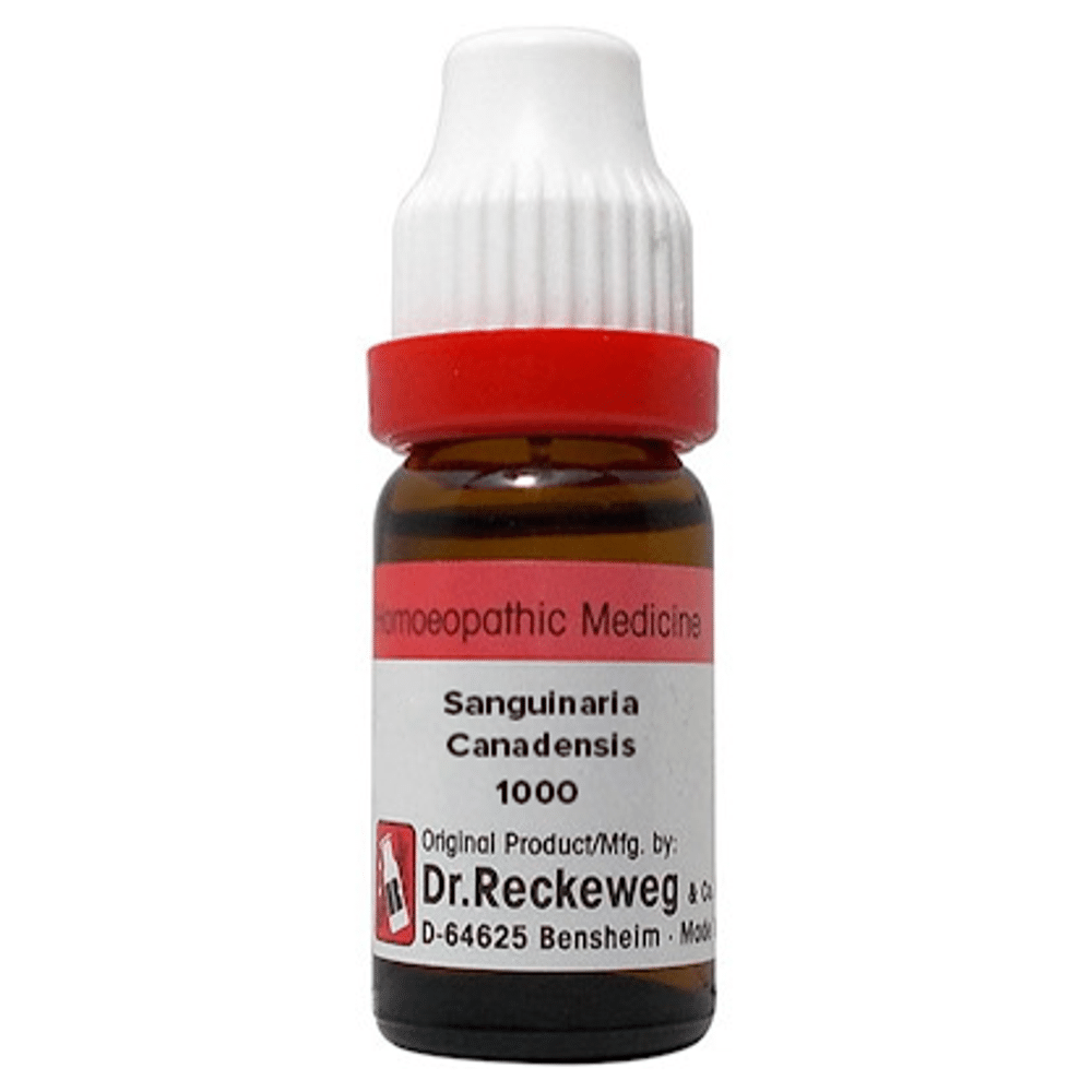 Dr. Reckeweg  Sanguinaria Canadensis Dilution 1000 CH