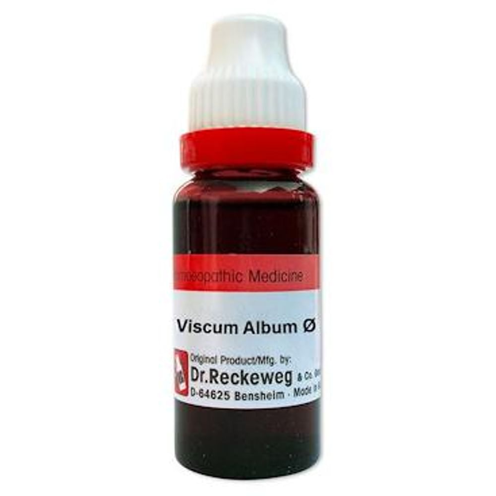 Dr. Reckeweg Viscum Album Mother Tincture Q