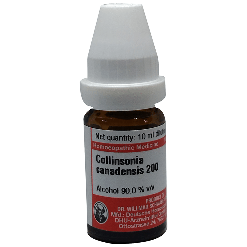 Dr Willmar Schwabe Germany Collinsonia Canadensis Dilution 200