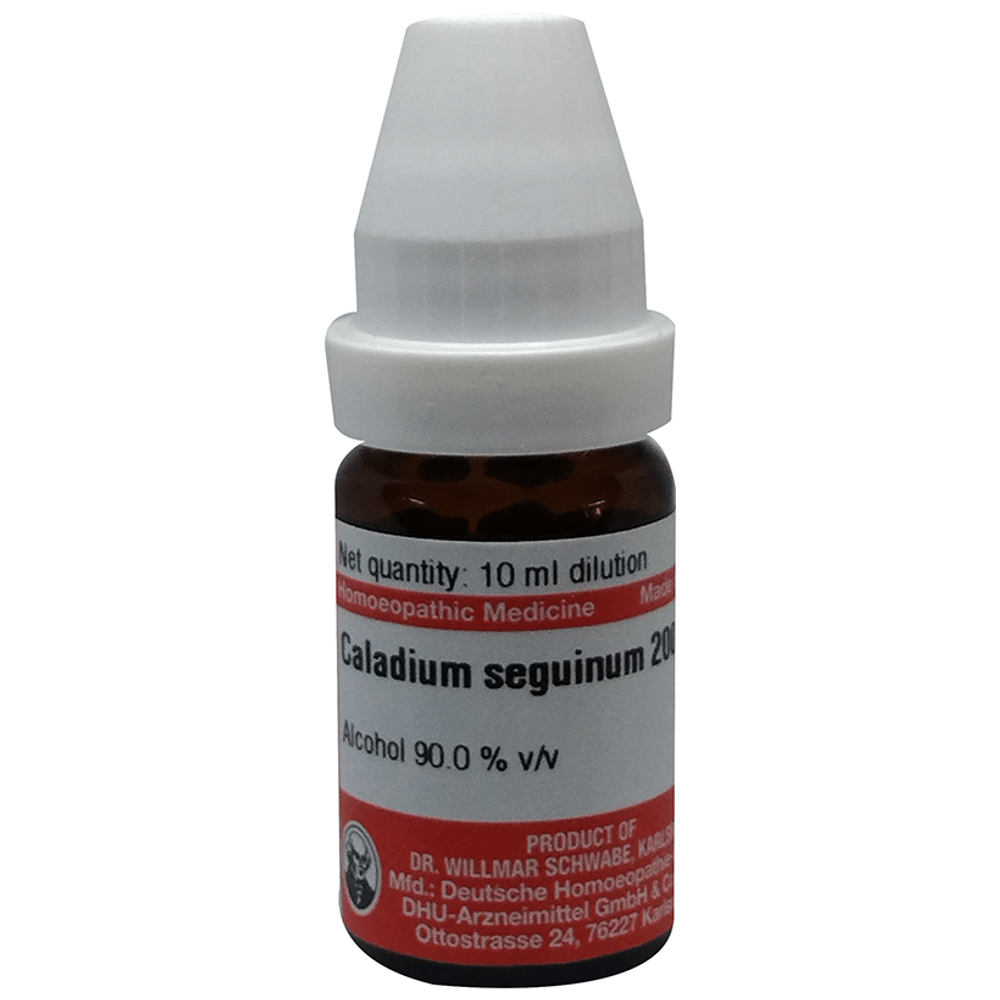 Dr Willmar Schwabe Germany Caladium Seguinum Dilution 200