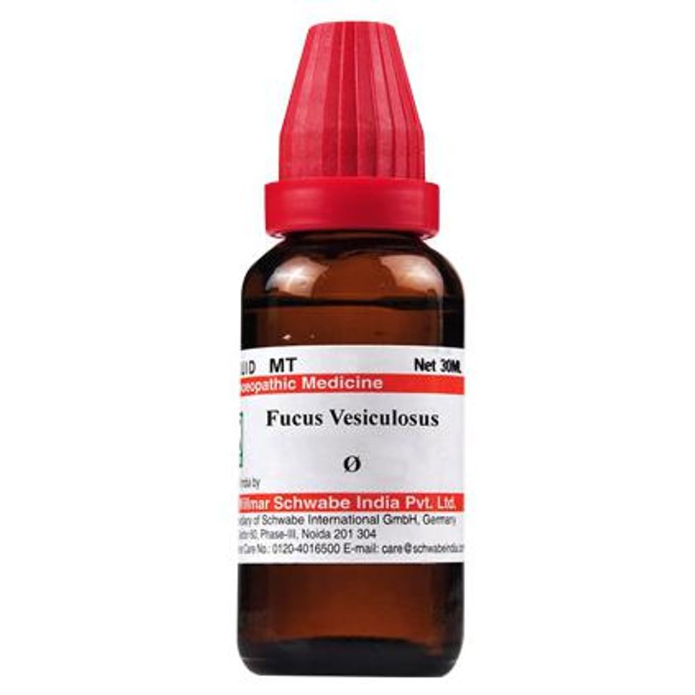 Dr Willmar Schwabe India Fucus Vesiculosus Mother Tincture Q