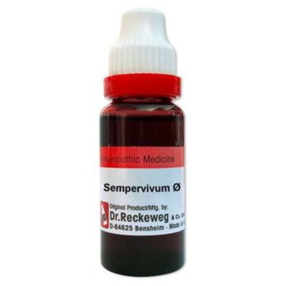 Dr. Reckeweg Sempervivum Mother Tincture Q